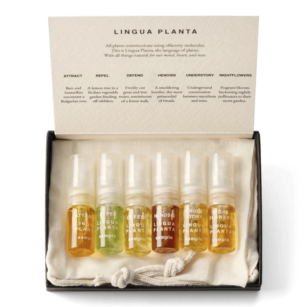 Lingua Planta Discovery Kit