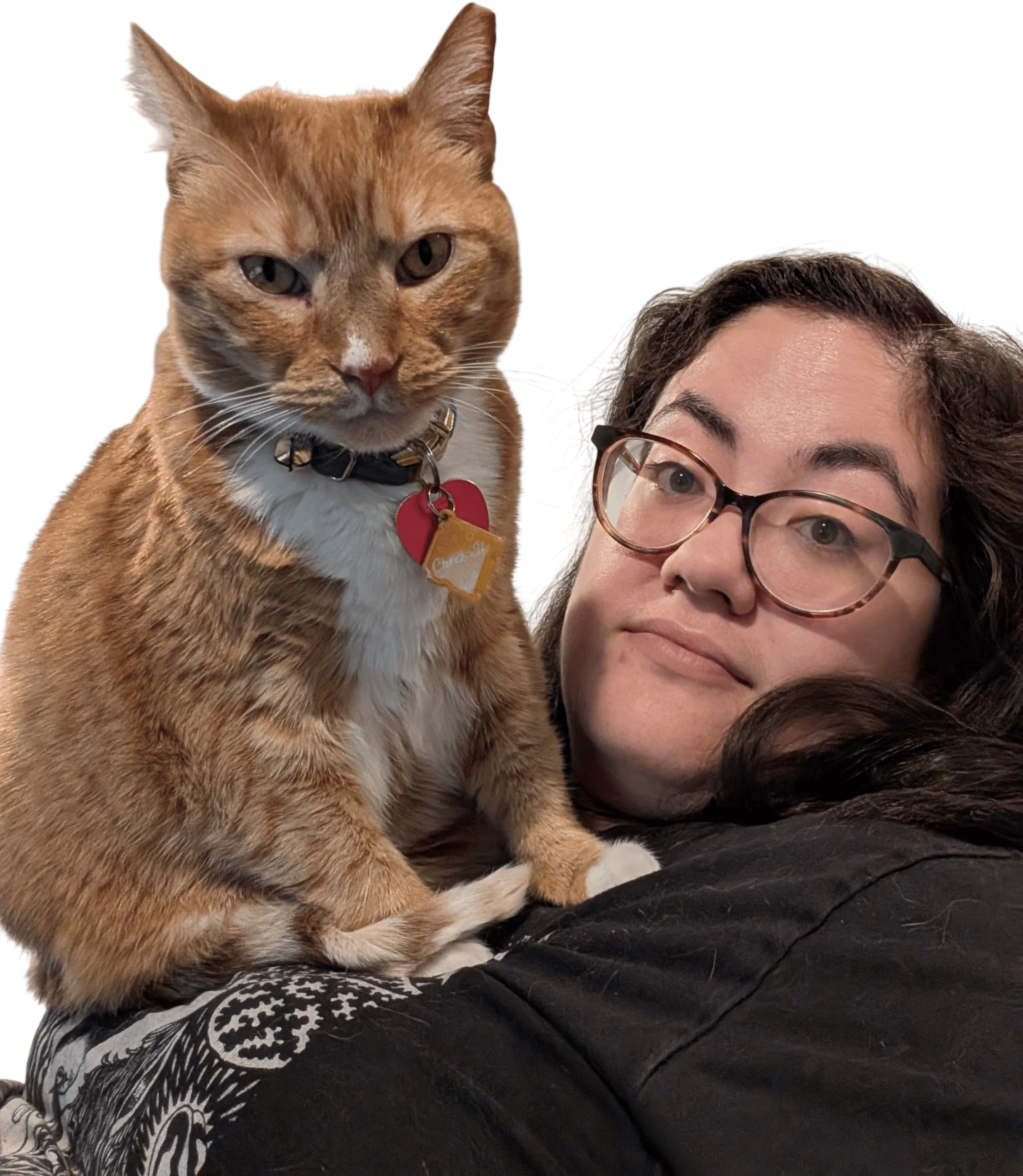 Letting your cat sit on your chest