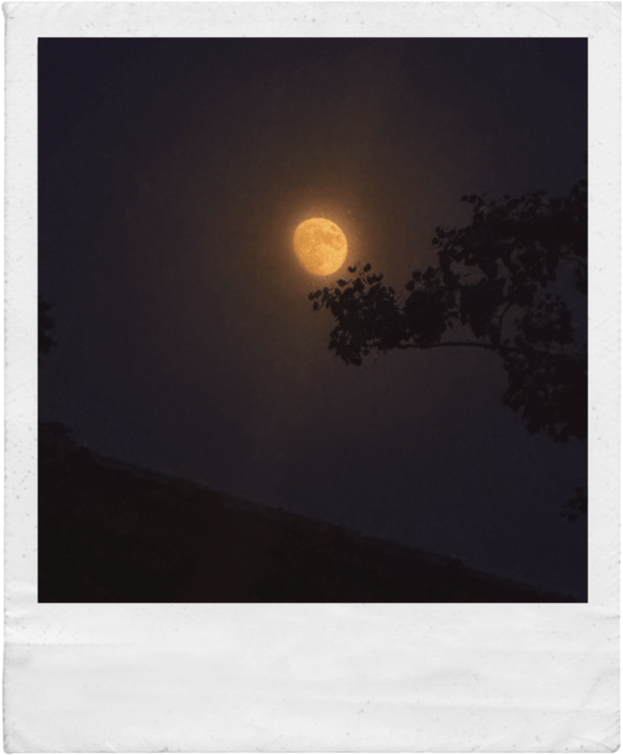 moon-gazing