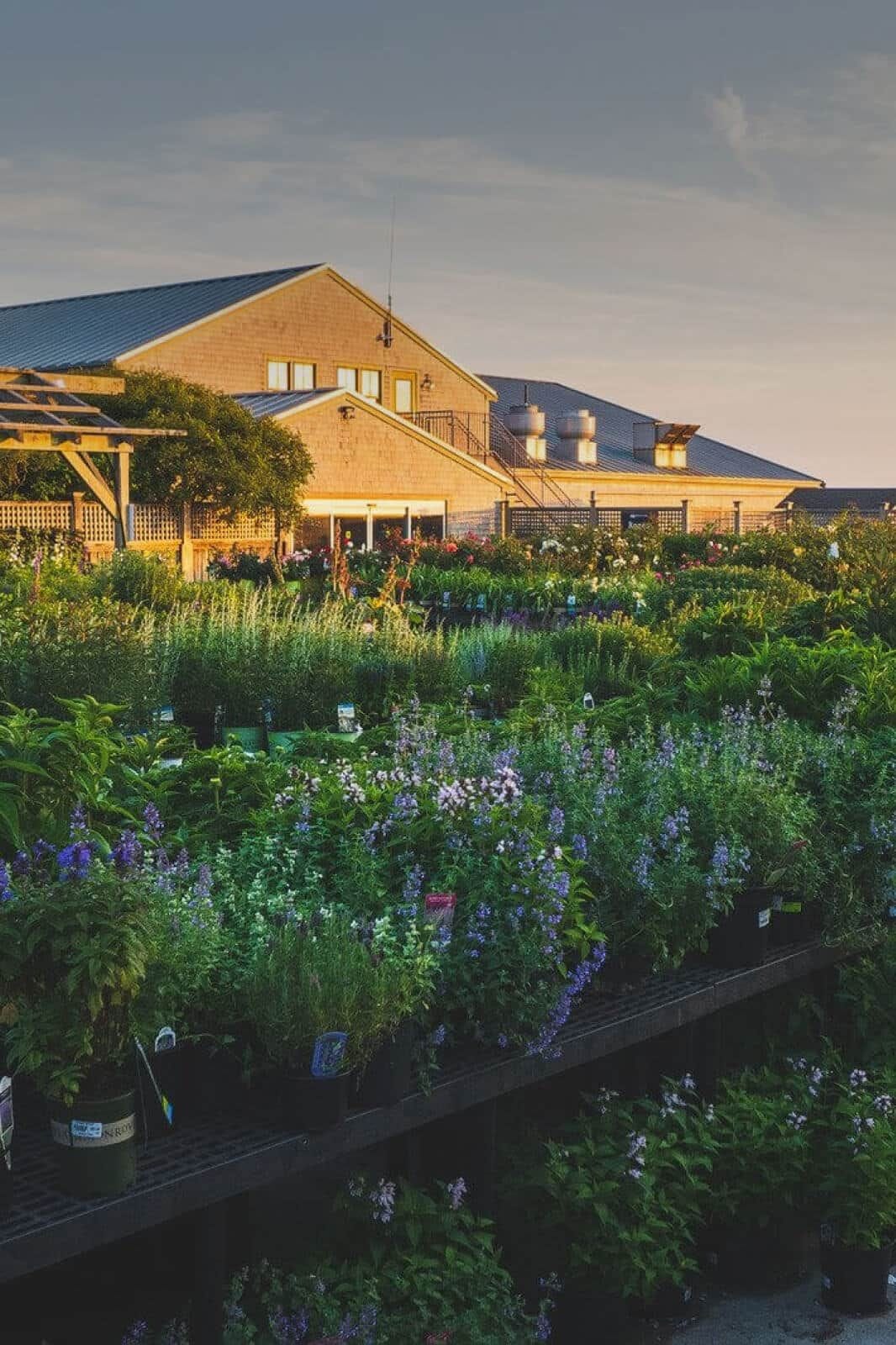 Family owned farm and activities