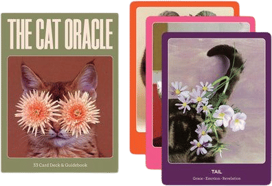 The Cat Oracle: 33 Card Deck & Guidebook