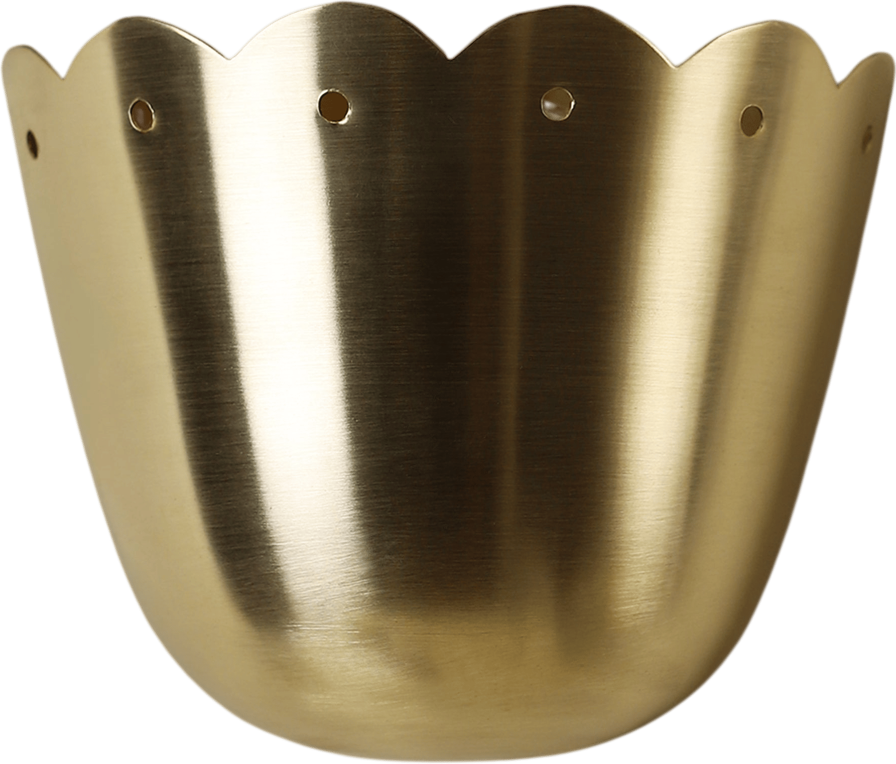 Huey Lightshop Tulip Sconce