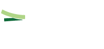 Paper Rice! Spring Rolls & Bowls