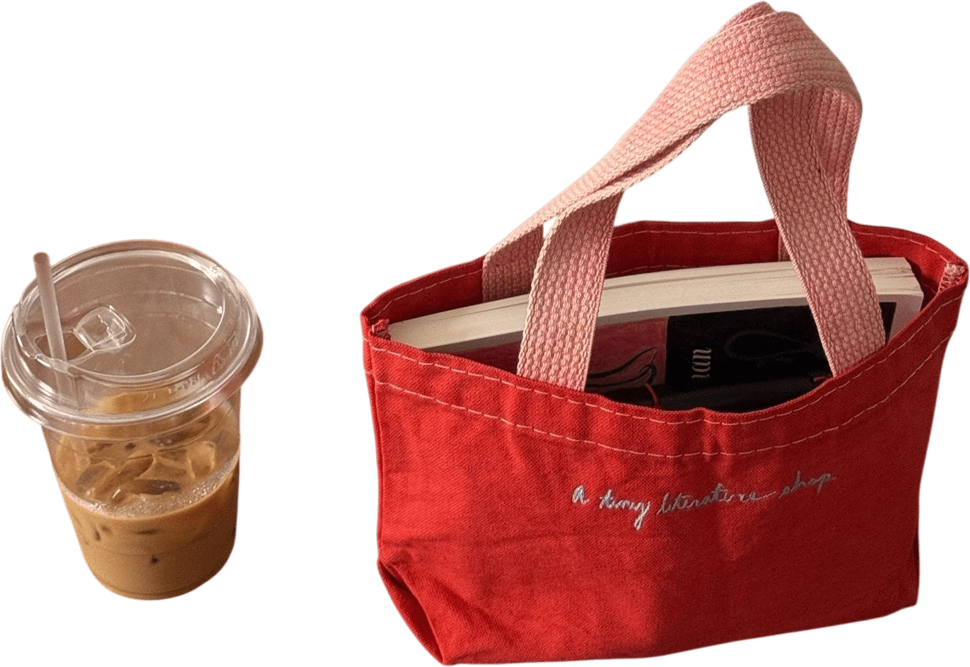 A Tiny Literature Tote