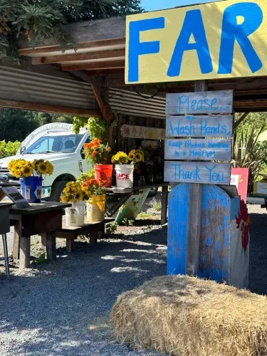 Members-Only Recommendation