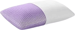 purple harmony pillow