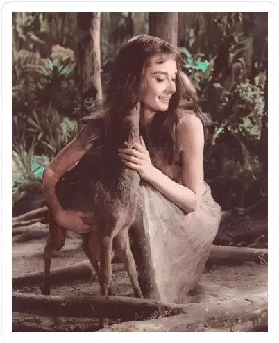 Coquette Audrey Hepburn Sticker