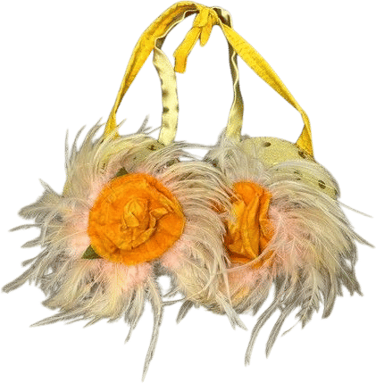 Vintage Yellow Showgirl Feather & Velvet Floral Stage Bra