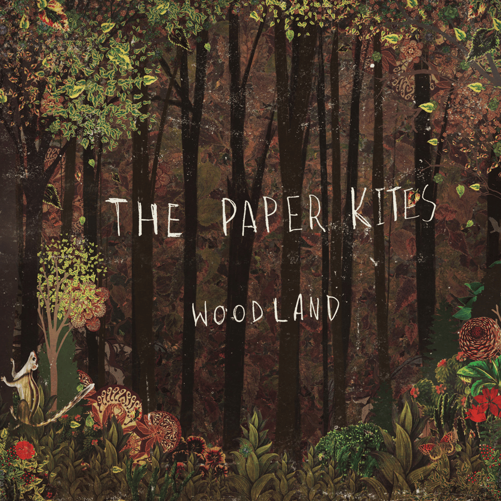 Bloom - The Paperkites