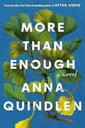 More Than Enough: A Novel