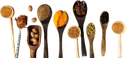 SOS Chefs of New York, Where the chefs go.