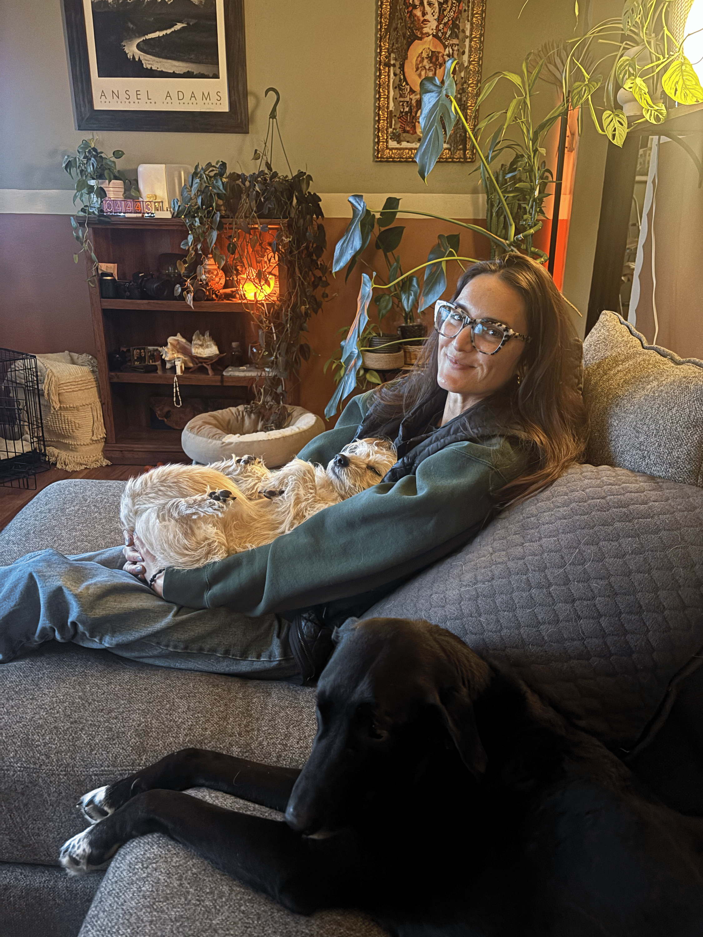 couch snuggles with your fur babies