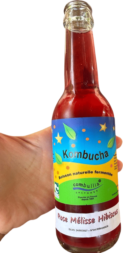 Rose Mélisse Hibiscus kombucha