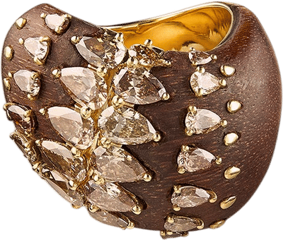 Deep Stream Ring
