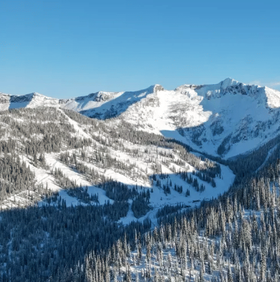 BC Guide - Sage Cattabriga-Alosa | Rec League