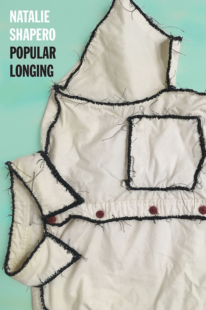 Popular Longing, Natalie Shapero