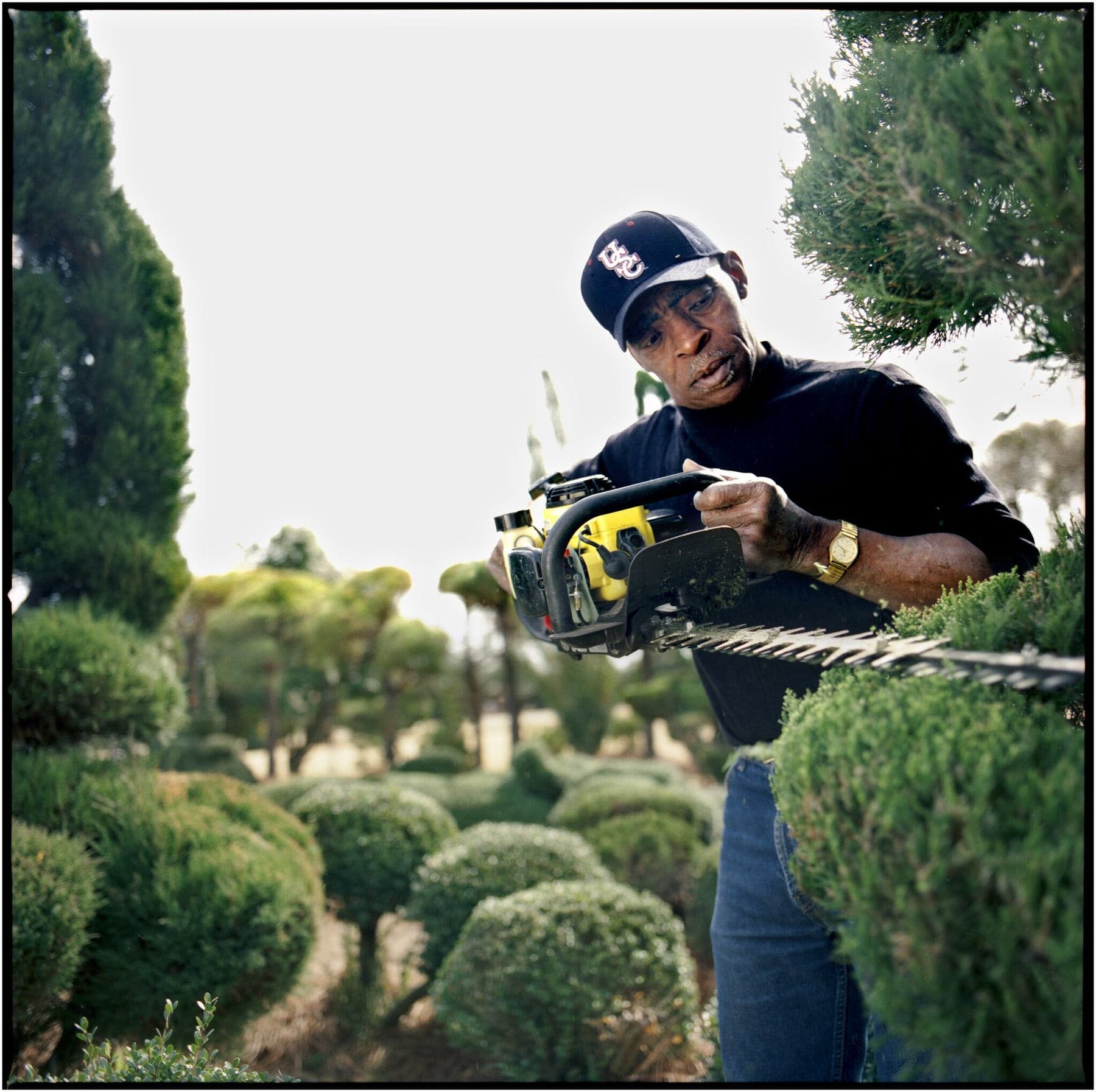 Pearl Fryar, topiary artist