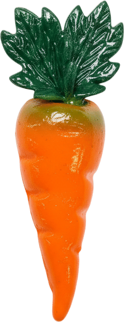 Carrot Kitchen Magnet