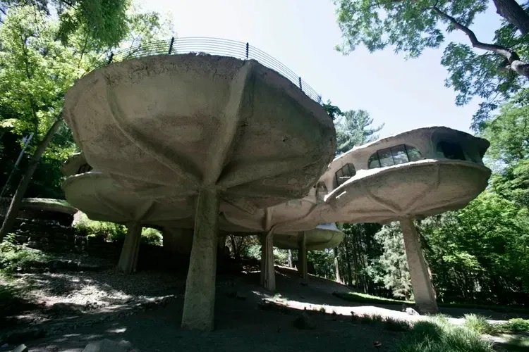 Mushroom House