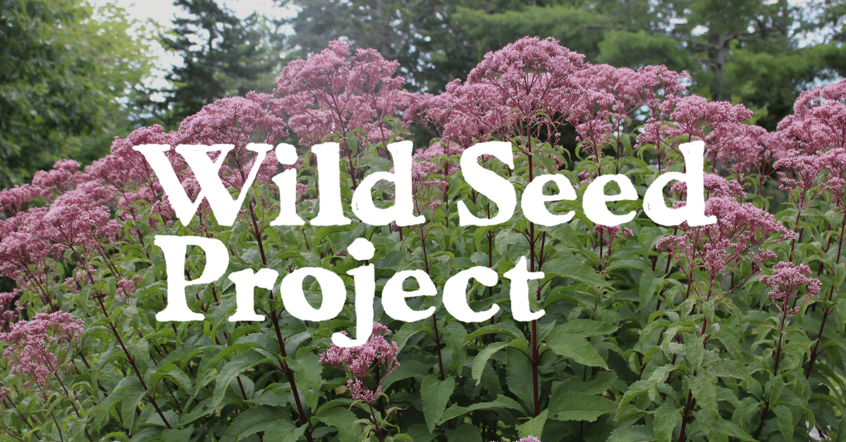 The Wild Seed Project