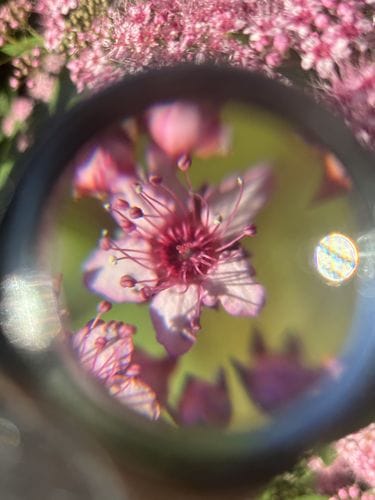 looking closely