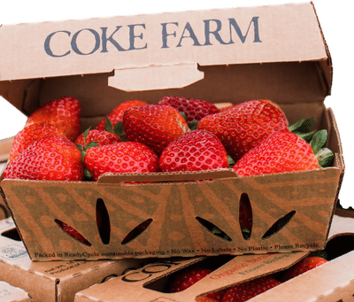 Coke Farm Strawberries