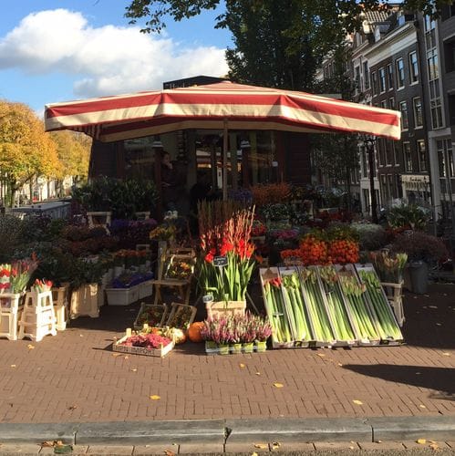 Speciality shops/ Favorite Grocers