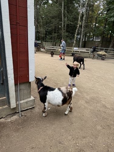 Smiling Hill Farm