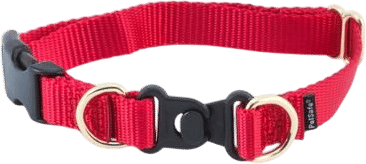 PetSafe Keep Safe Break-Away Dog Collar