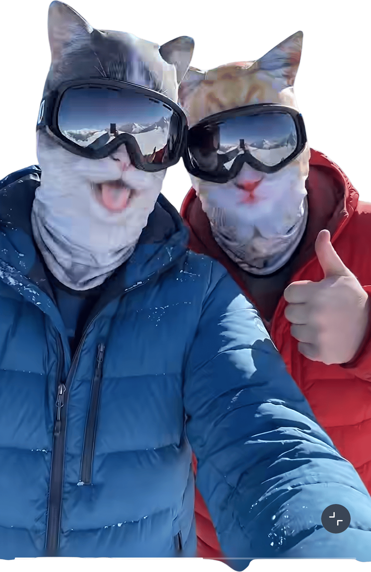 When you REALLY want to have fun skiing.