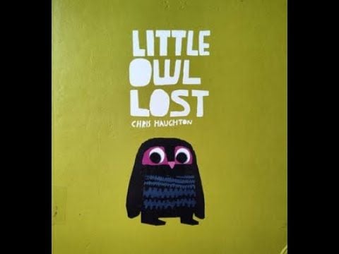Little Owl Lost