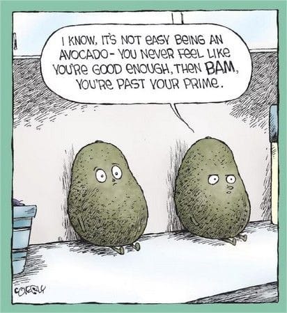 Ripe Avocados 🥑