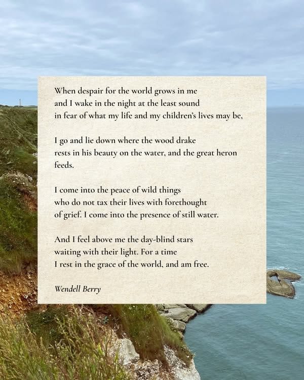 The Peace of Wild Things, Wendell Berry