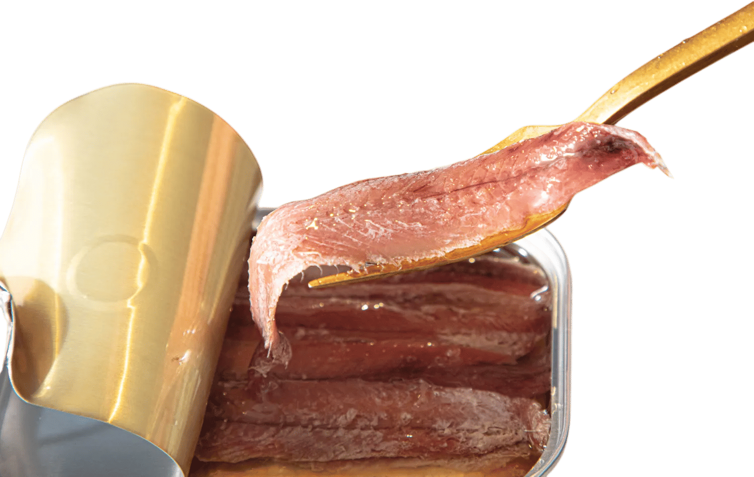 anchovies