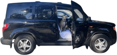 my 2010 Honda Element