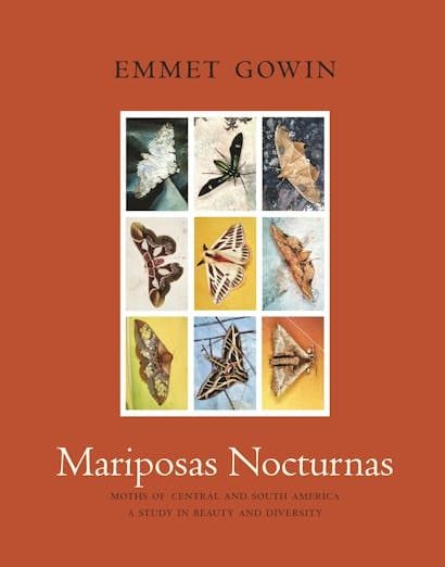 Mariposas Nocturnas by Emmet Gowin