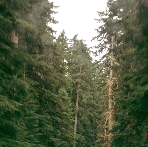 Doing a Nature