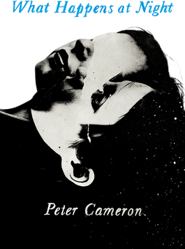 What Happens at Night (Peter Cameron)
