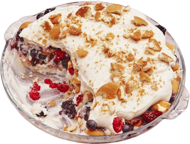 Lush Vanilla Berry Pudding Recipe