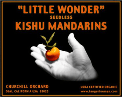 Churchill Orchards Tangerines