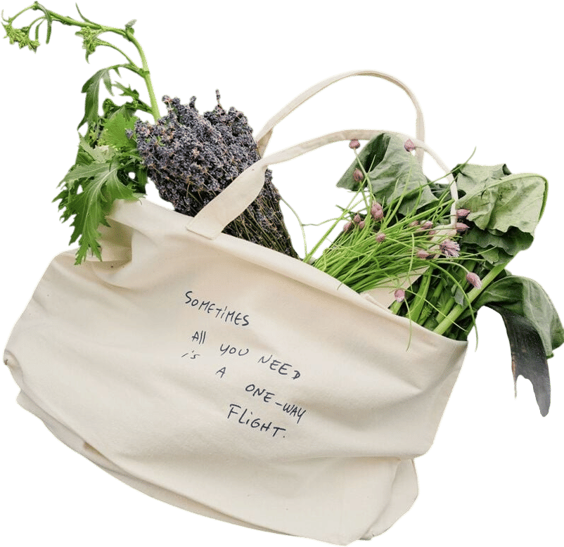 Thomas Lélu One-Way Flight Tote Bag