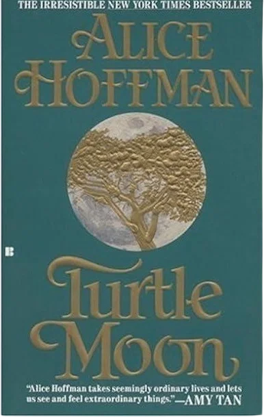 Turtle Moon