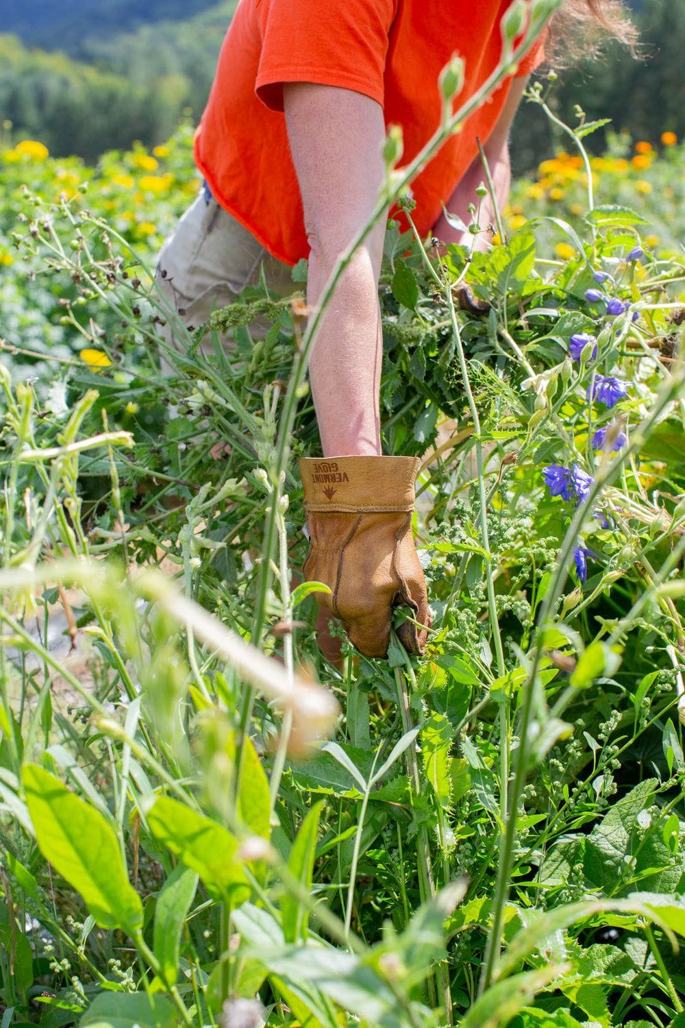 Leather Gardening Gloves