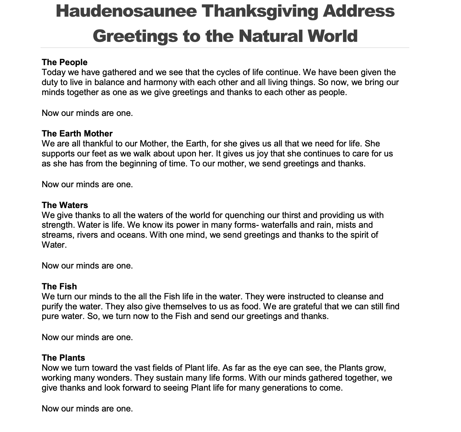 Haudenosaunee Greetings to the Natural World