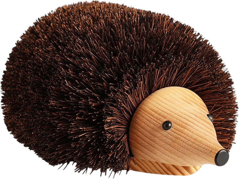 Shoe Cleaning Hedgehog by Bürstenhaus Redecker