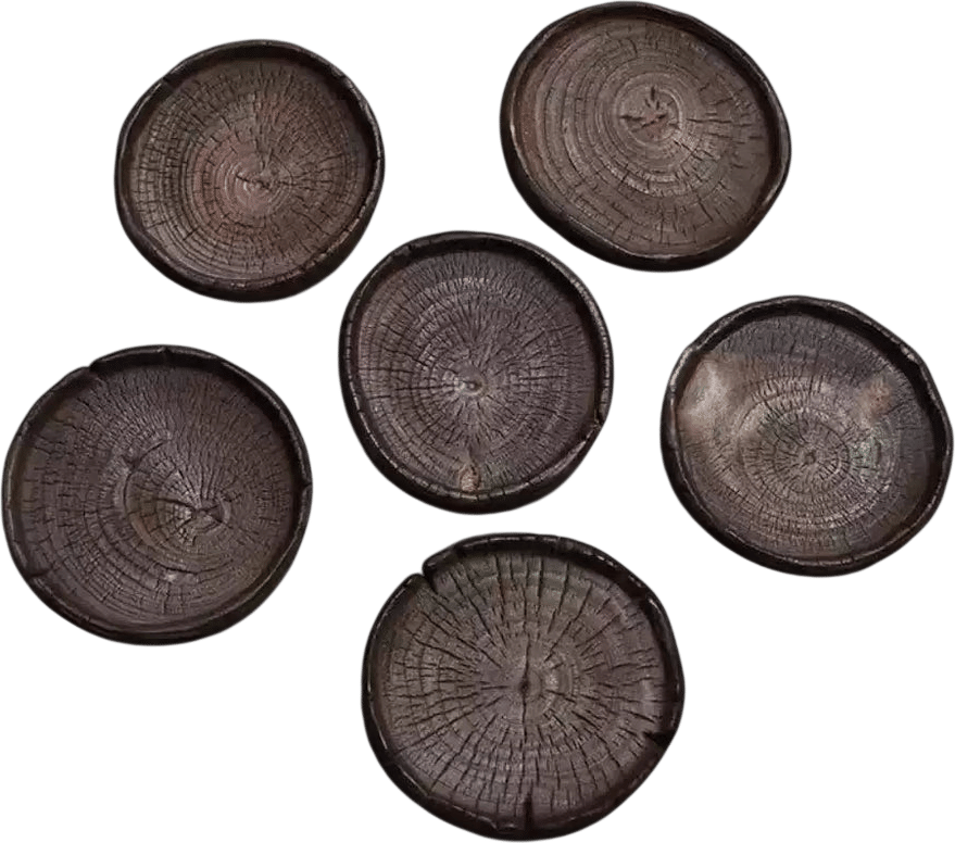 Wabi-Sabi Style Camphor Wood Teapot Tray