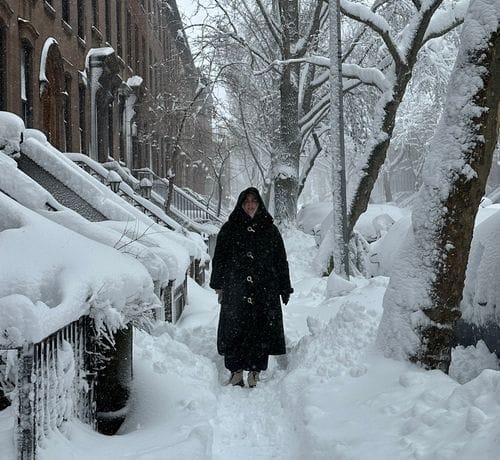 Elizabeth Willett logo