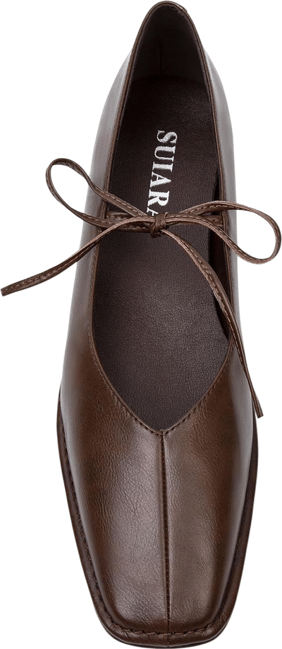 Brown Ballet Flats