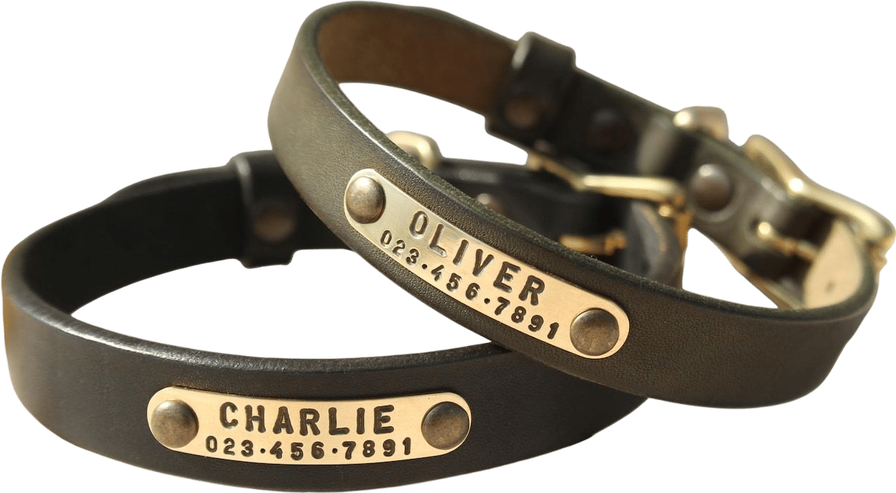 Custom Leather Dog Collar with Brass Name Plate