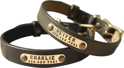 Custom Leather Dog Collar with Brass Name Plate
